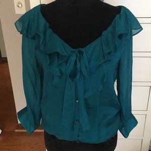 Beautiful Sheer Silk Blouse by Trinity